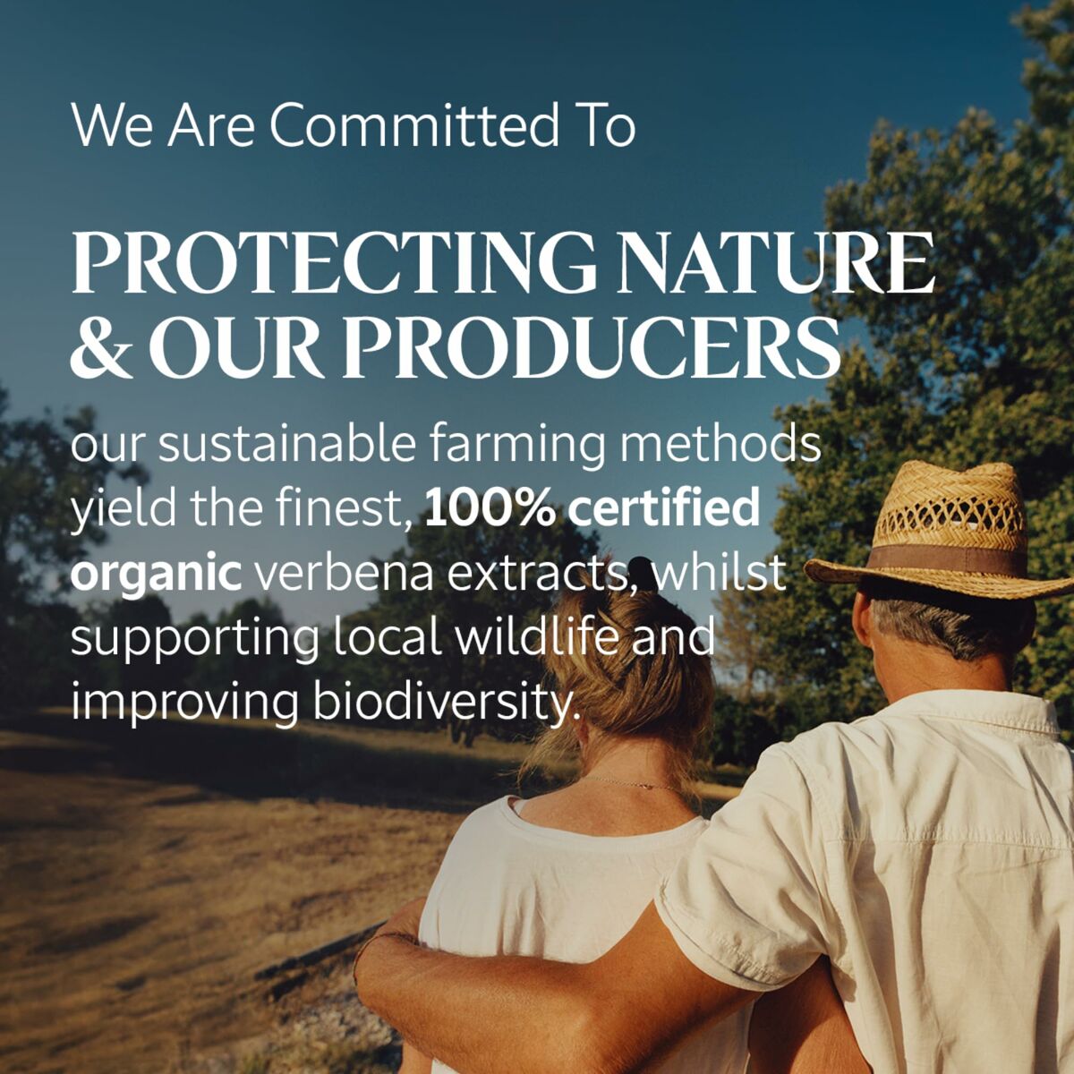 V5H3BAEDD20742040C62382139FA8B4660BR5915515P3