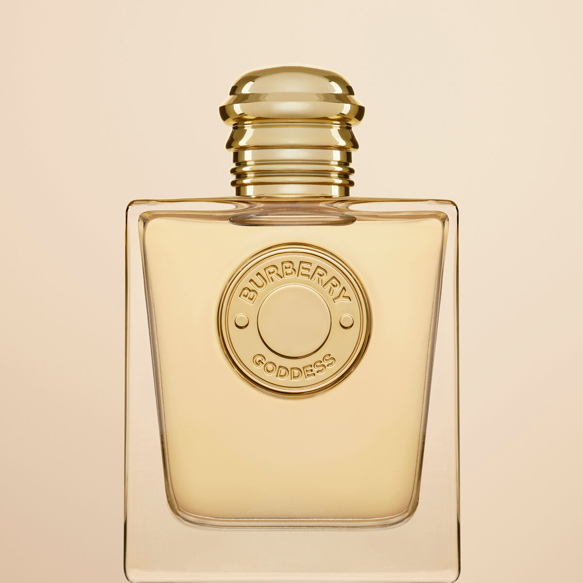 V6H737DBC03E4E0DD7588F73BF7E1EB9A99R5318351P8