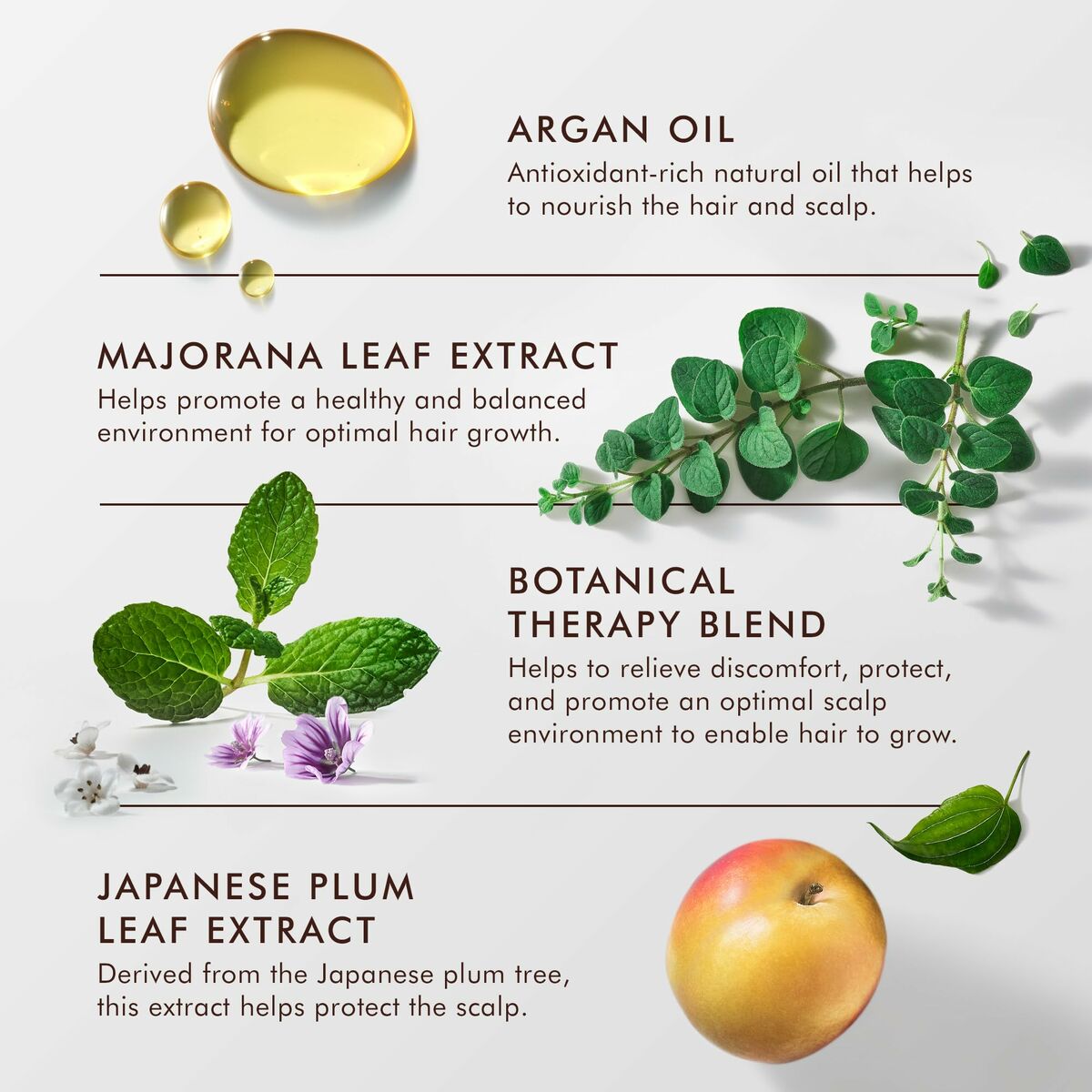 V5H5EBE89CE9FC0803016C9CE4B3B2A0277R5936070P4