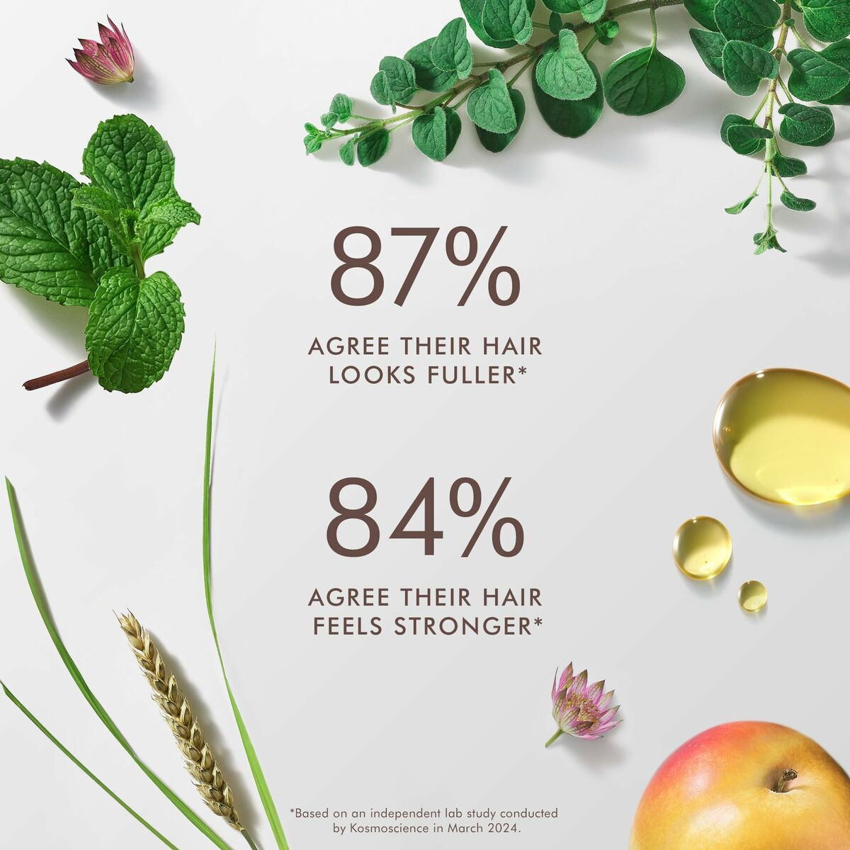 V5HC08E3BFCE4336D6921AD7D00A48079F3R5936069P3